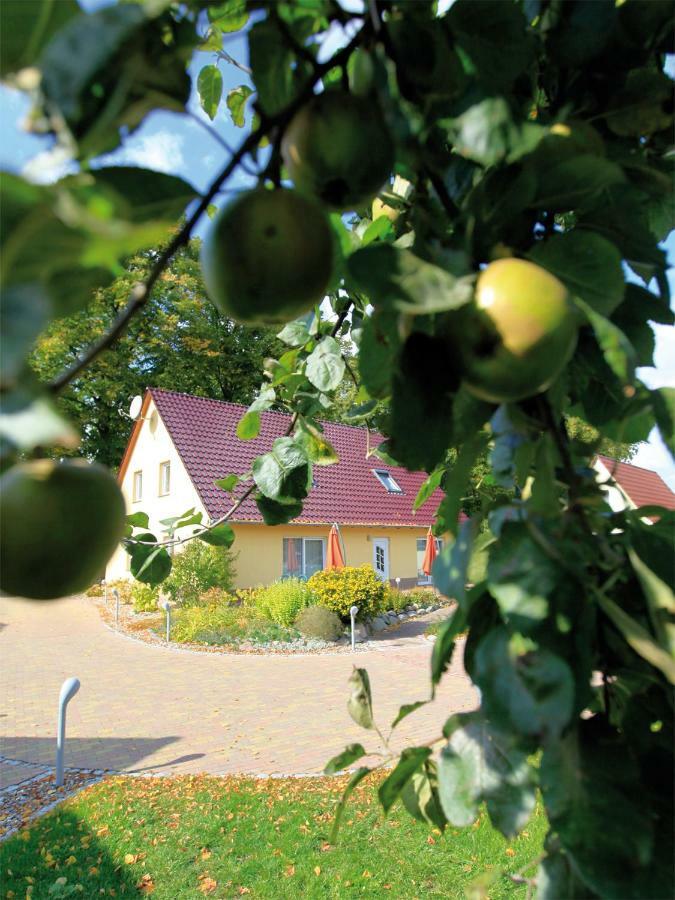 Schoelzke'S Ferienhaus 랄스비크 외부 사진